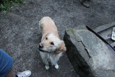 53_gc_stammtisch_79_20150506